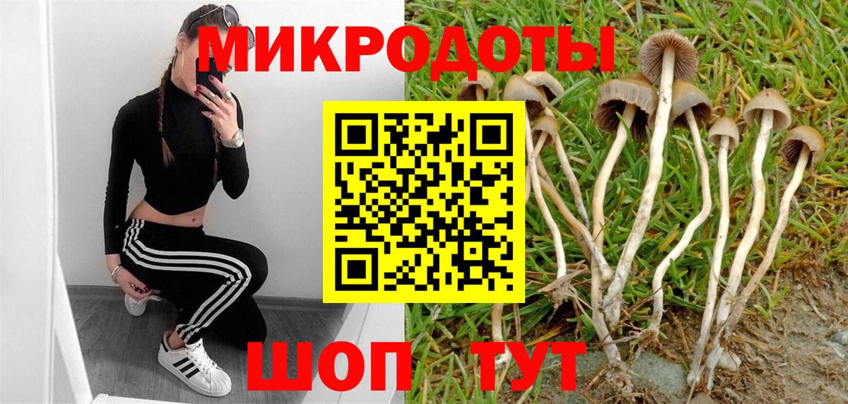 Галлюциногенные грибы Cubensis Кинель