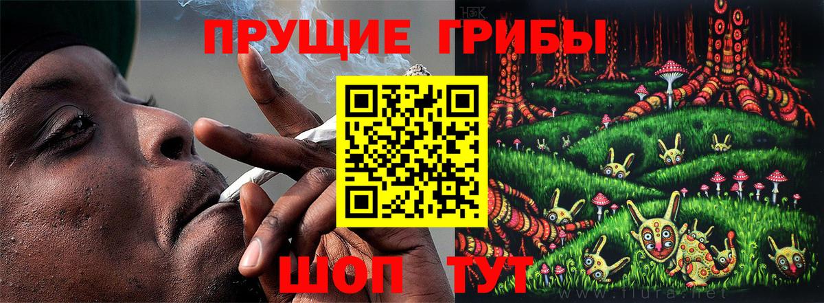 хочу наркоту  Псилоцибиновые грибы Magic Shrooms  Вход с VPN  Кинель  Псилоцибиновые грибы мухоморы 